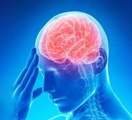 Аватар организации Опухоль мозга