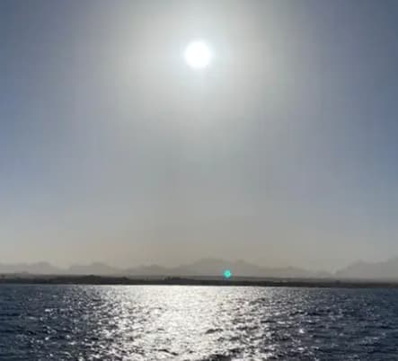 Аватар организации Адрено кортикальный рак